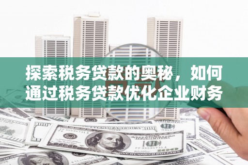 荔浦探索税务贷款的奥秘，如何通过税务贷款优化企业财务