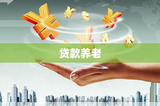 荔浦贷款养老