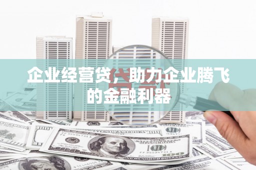荔浦企业经营贷，助力企业腾飞的金融利器