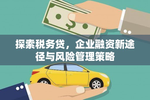荔浦探索税务贷，企业融资新途径与风险管理策略