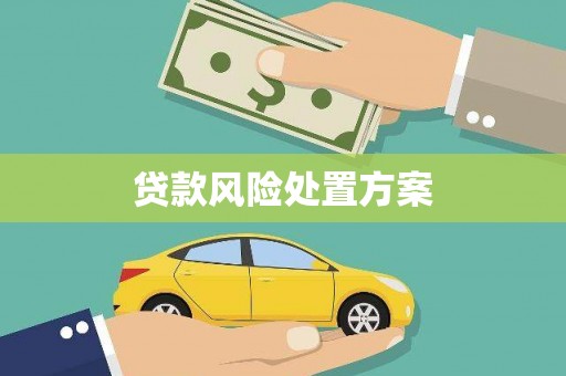 荔浦贷款风险处置方案