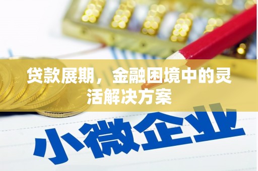 荔浦贷款展期，金融困境中的灵活解决方案