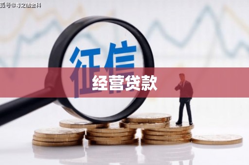 荔浦经营贷款