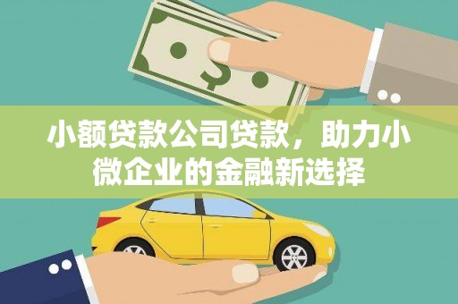 荔浦小额贷款公司贷款，助力小微企业的金融新选择