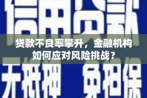 荔浦贷款不良率攀升，金融机构如何应对风险挑战？