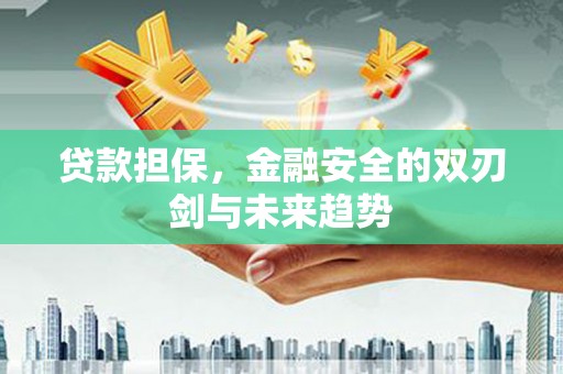 荔浦贷款担保，金融安全的双刃剑与未来趋势