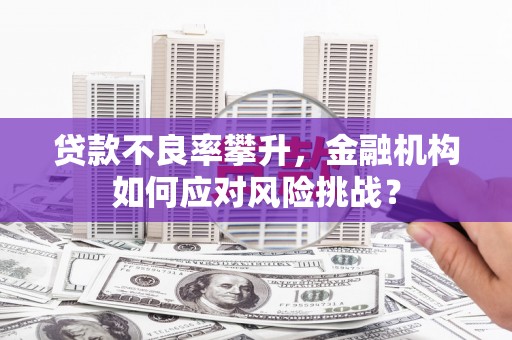 荔浦贷款不良率攀升，金融机构如何应对风险挑战？