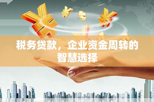 荔浦税务贷款，企业资金周转的智慧选择