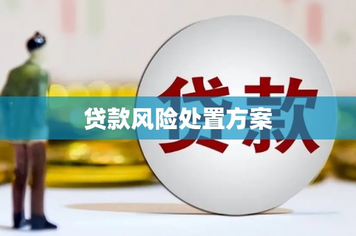 荔浦贷款风险处置方案