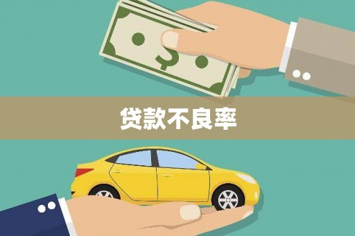 荔浦贷款不良率