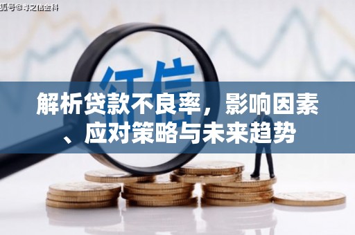 荔浦解析贷款不良率，影响因素、应对策略与未来趋势
