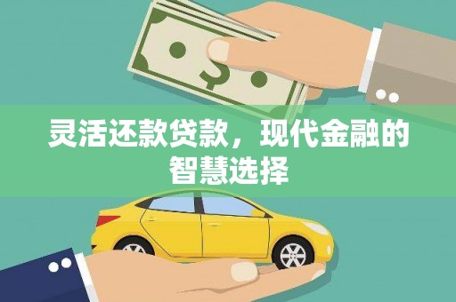 荔浦灵活还款贷款，现代金融的智慧选择