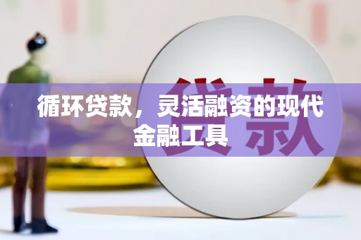 荔浦循环贷款，灵活融资的现代金融工具