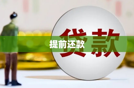 荔浦提前还款
