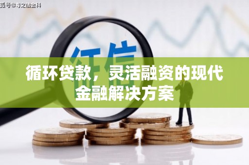 荔浦循环贷款，灵活融资的现代金融解决方案