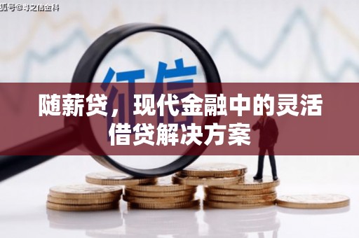 荔浦随薪贷，现代金融中的灵活借贷解决方案