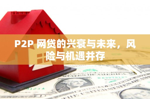 荔浦P2P 网贷的兴衰与未来，风险与机遇并存