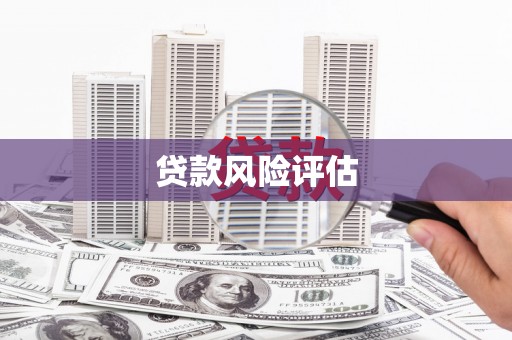 荔浦贷款风险评估
