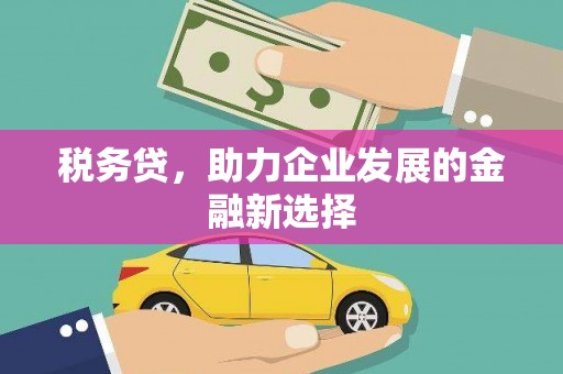 荔浦税务贷，助力企业发展的金融新选择