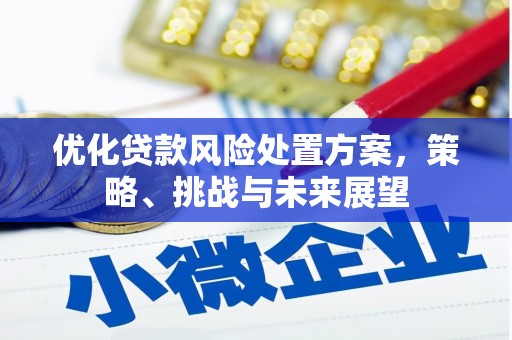 荔浦优化贷款风险处置方案，策略、挑战与未来展望