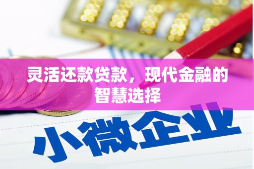 荔浦灵活还款贷款，现代金融的智慧选择