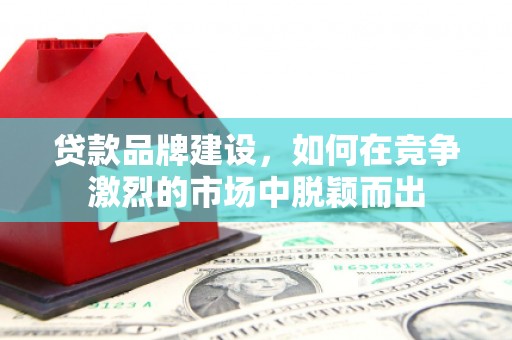 荔浦贷款品牌建设，如何在竞争激烈的市场中脱颖而出