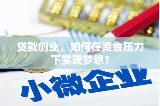 荔浦贷款创业，如何在资金压力下实现梦想？