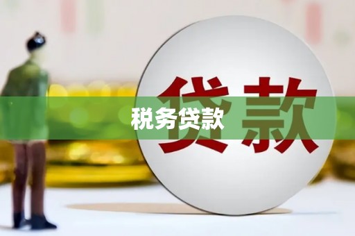 荔浦税务贷款