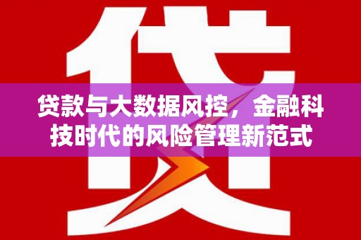 荔浦贷款与大数据风控，金融科技时代的风险管理新范式