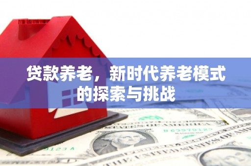 荔浦贷款养老，新时代养老模式的探索与挑战