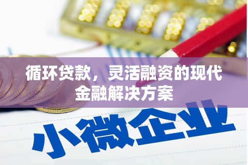 荔浦循环贷款，灵活融资的现代金融解决方案