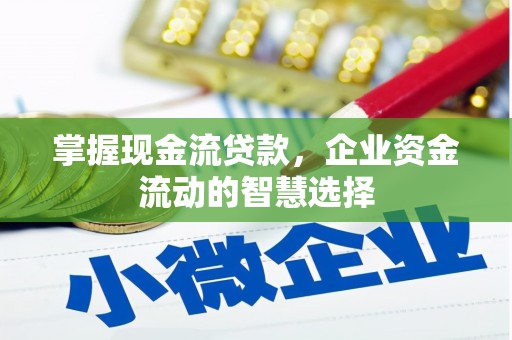 荔浦掌握现金流贷款，企业资金流动的智慧选择