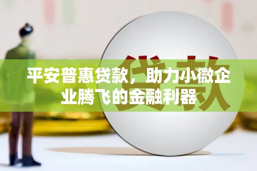 荔浦平安普惠贷款，助力小微企业腾飞的金融利器