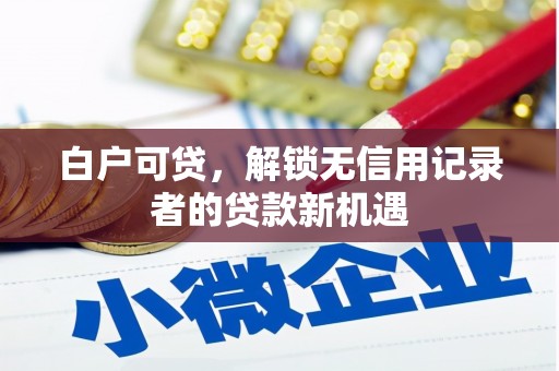 荔浦白户可贷，解锁无信用记录者的贷款新机遇