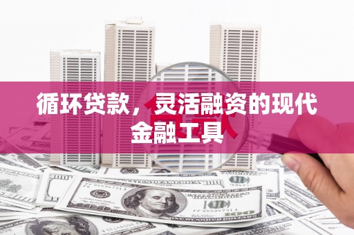 荔浦循环贷款，灵活融资的现代金融工具
