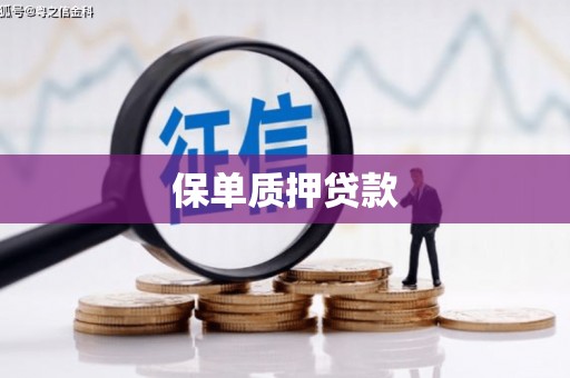 荔浦保单质押贷款