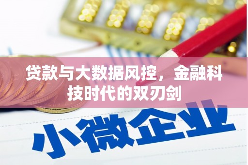 荔浦贷款与大数据风控，金融科技时代的双刃剑