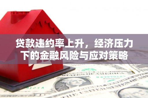 荔浦贷款违约率上升，经济压力下的金融风险与应对策略