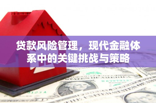 荔浦贷款风险管理，现代金融体系中的关键挑战与策略