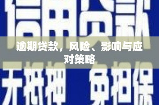 荔浦逾期贷款，风险、影响与应对策略