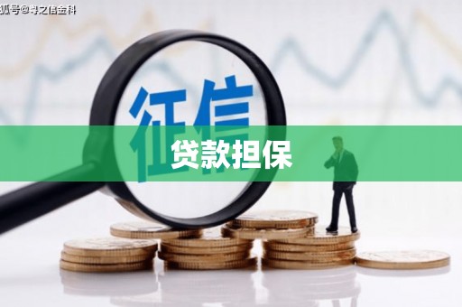 荔浦贷款担保