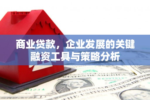 荔浦商业贷款，企业发展的关键融资工具与策略分析