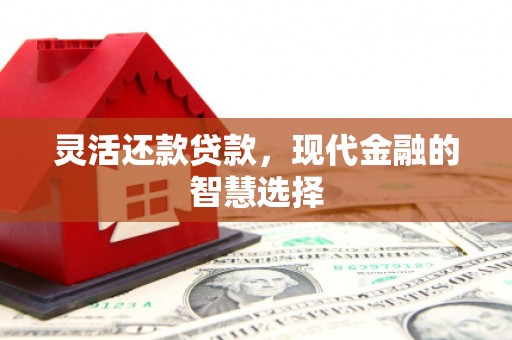 荔浦灵活还款贷款，现代金融的智慧选择
