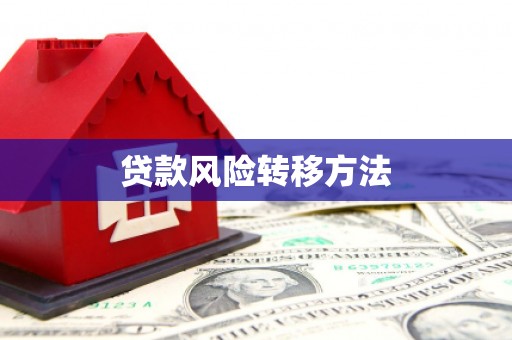 荔浦贷款风险转移方法