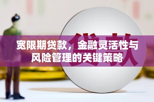 荔浦宽限期贷款，金融灵活性与风险管理的关键策略