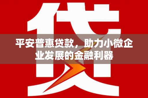 荔浦平安普惠贷款，助力小微企业发展的金融利器