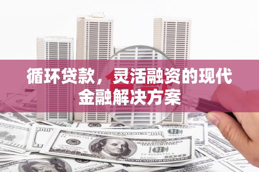 荔浦循环贷款，灵活融资的现代金融解决方案