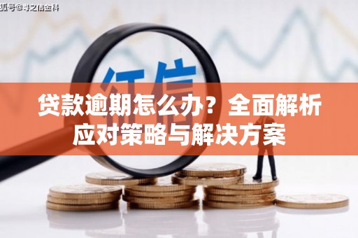 荔浦贷款逾期怎么办？全面解析应对策略与解决方案