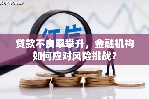 荔浦贷款不良率攀升，金融机构如何应对风险挑战？