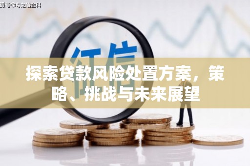 荔浦探索贷款风险处置方案，策略、挑战与未来展望